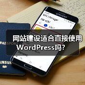 网站建设适合直接使用WordPress吗?(图4) 网站建设适合直接使用WordPress吗?(图4)