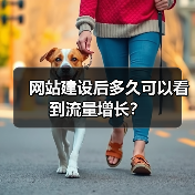 网站建设后多久可以看到流量增长？（图2）