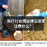 医疗行业网站建设需要注意什么?(图2) 医疗行业网站建设需要注意什么?(图2)