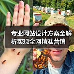 专业网站设计方案全解析实现全网精准营销（图4）