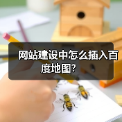 网站建设中怎么插入百度地图？（图3）