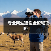 专业网站建设全流程攻略（图3）