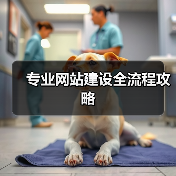 专业网站建设全流程攻略（图2）