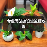 专业网站建设全流程攻略（图4）