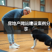 房地产网站建设案例分享（图1）