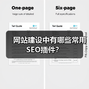 网站建设中有哪些常用SEO插件？（图1）