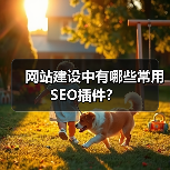 网站建设中有哪些常用SEO插件？（图3）