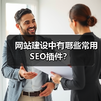 网站建设中有哪些常用SEO插件？（图2）