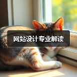 网站设计专业解读（图2）