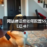 网站建设后如何配置SSL证书？（图3）