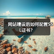 网站建设后如何配置SSL证书？（图4）