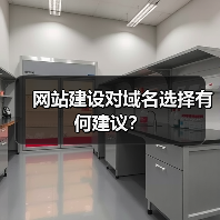 网站建设对域名选择有何建议？（图2）