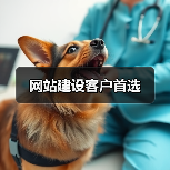 网站建设客户首选（图2）