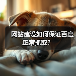 网站建设如何保证百度正常抓取？（图4）