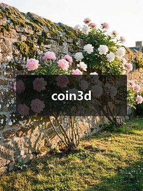 coin3d（图2）