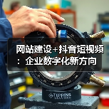 网站建设+抖音短视频：企业数字化新方向（图1）