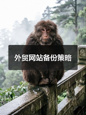 外贸网站备份策略（图2）