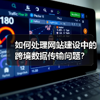 如何处理网站建设中的跨境数据传输问题？（图4）