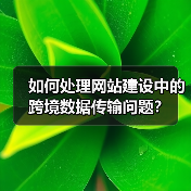 如何处理网站建设中的跨境数据传输问题？（图3）