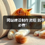 网站建设制作流程|新手必看!（图4）