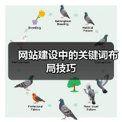 网站建设中的关键词布局技巧