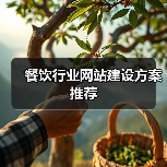 餐饮行业网站建设方案推荐（图1）