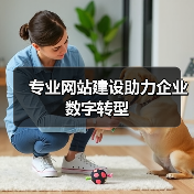 专业网站建设助力企业数字转型（图1）