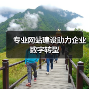 专业网站建设助力企业数字转型（图4）
