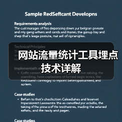 网站流量统计工具埋点技术详解（图2）