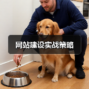 网站建设实战策略（图3）
