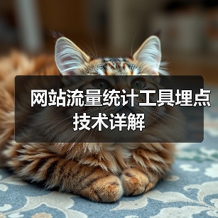网站流量统计工具埋点技术详解（图3）