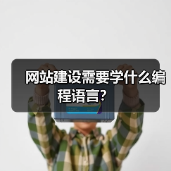 网站建设需要学什么编程语言？（图2）