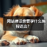 网站建设需要学什么编程语言？（图1）