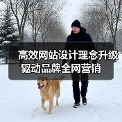 高效网站设计理念升级驱动品牌全网营销（图4）