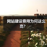 网站建设费用为何这么高？（图3）