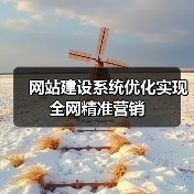 网站建设系统优化实现全网精准营销（图3）