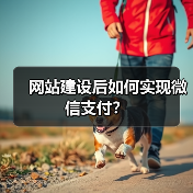 网站建设后如何实现微信支付？（图2）