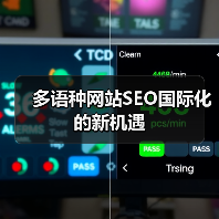 多语种网站SEO国际化的新机遇（图3）