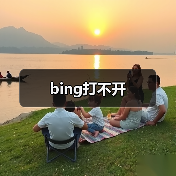 bing打不开（图2）