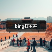 bing打不开（图3）