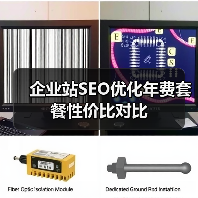 企业站SEO优化年费套餐性价比对比（图3）
