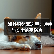 海外服务器选型：速度与安全的平衡点（图2）