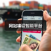 网站建设智能平台（图3）