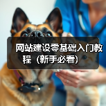 网站建设零基础入门教程（新手必看）（图1）
