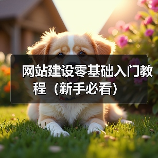 网站建设零基础入门教程（新手必看）（图4）