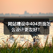 网站建设中404页面怎么设计更友好?(图2) 网站建设中404页面怎么设计更友好?(图2)
