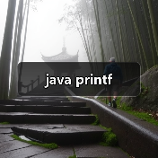 java printf（图1）