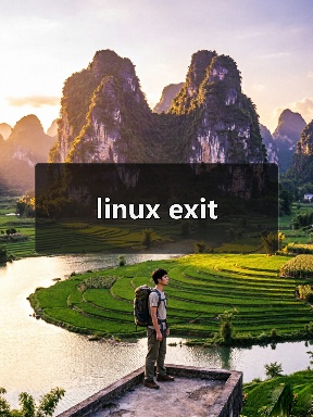 linux exit(图1) linux exit(图1)