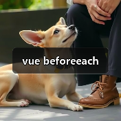 vue beforeeach（图1）