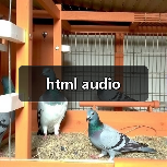 html audio（图1）